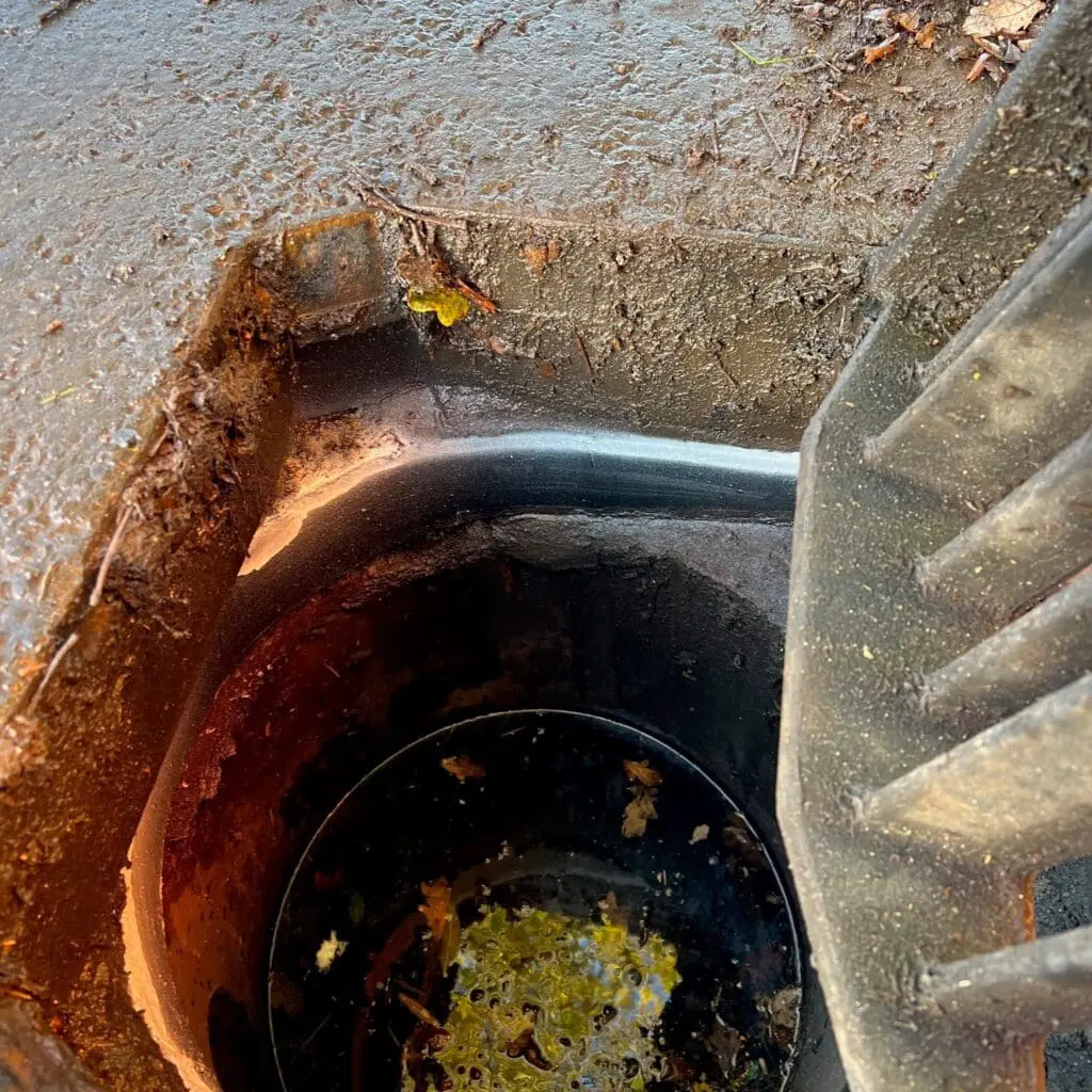 Torrent Water Management